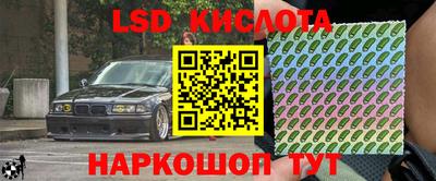 прущие грибы Коммунар