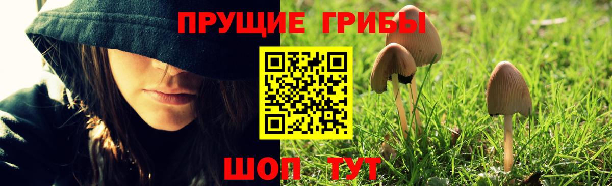 Галлюциногенные грибы Magic Shrooms Когалым